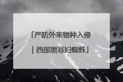 严防外来物种入侵｜西部黑寡妇蜘蛛