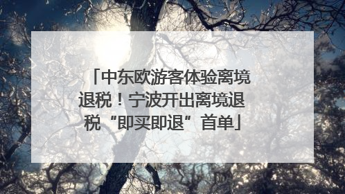 中东欧游客体验离境退税！宁波开出离境退税“即买即退”首单