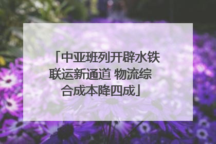 中亚班列开辟水铁联运新通道 物流综合成本降四成