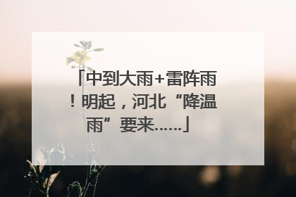 中到大雨+雷阵雨！明起，河北“降温雨”要来……