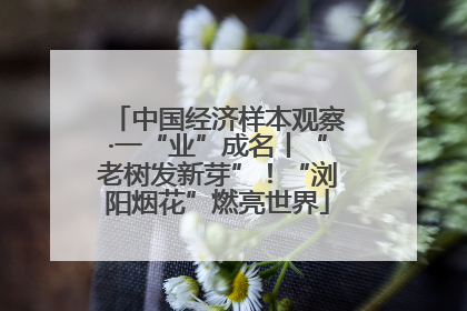 中国经济样本观察·一“业”成名丨“老树发新芽”！“浏阳烟花”燃亮世界