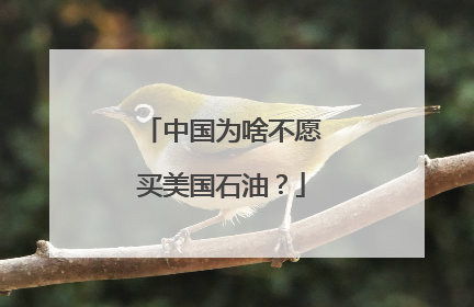中国为啥不愿买美国石油？