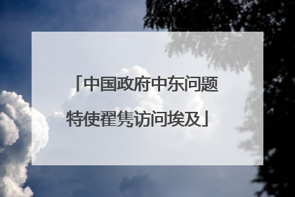 中国政府中东问题特使翟隽访问埃及