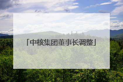 中核集团董事长调整