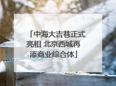 中海大吉巷正式亮相 北京西城再添商业综合体