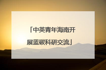 中英青年海南开展蓝碳科研交流