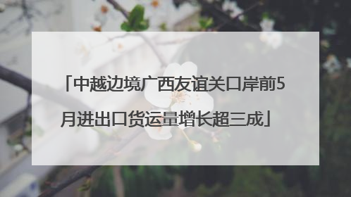 中越边境广西友谊关口岸前5月进出口货运量增长超三成