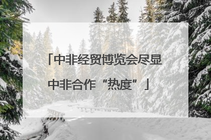 中非经贸博览会尽显中非合作“热度”