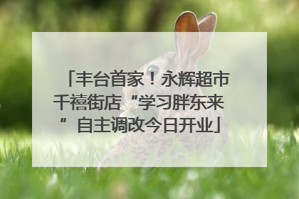 丰台首家！永辉超市千禧街店“学习胖东来”自主调改今日开业