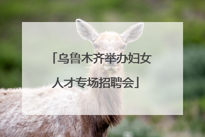 乌鲁木齐举办妇女人才专场招聘会