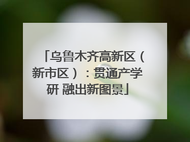 乌鲁木齐高新区（新市区）：贯通产学研 融出新图景