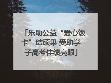 乐助公益“爱心饭卡”结硕果 受助学子高考佳绩亮眼
