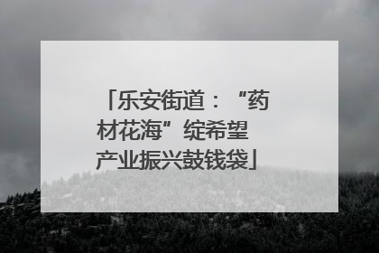 乐安街道：“药材花海”绽希望 产业振兴鼓钱袋
