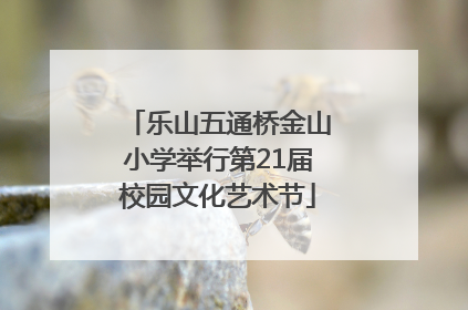 乐山五通桥金山小学举行第21届校园文化艺术节