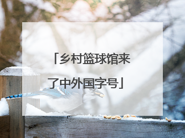 乡村篮球馆来了中外国字号