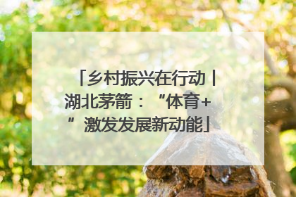 乡村振兴在行动丨湖北茅箭：“体育+”激发发展新动能