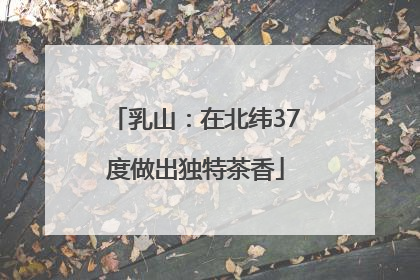 乳山：在北纬37度做出独特茶香