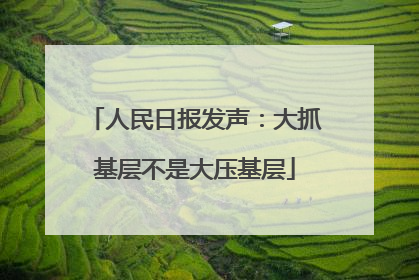 人民日报发声：大抓基层不是大压基层