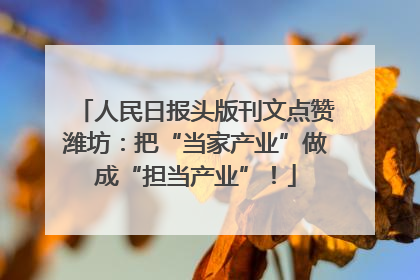 人民日报头版刊文点赞潍坊：把“当家产业”做成“担当产业”！
