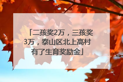 二孩奖2万，三孩奖3万，泰山区北上高村有了生育奖励金