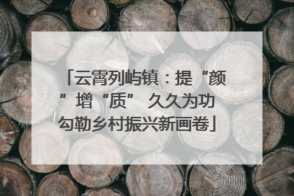 云霄列屿镇：提“颜”增“质” 久久为功勾勒乡村振兴新画卷