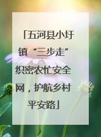 五河县小圩镇“三步走”织密农忙安全网，护航乡村平安路