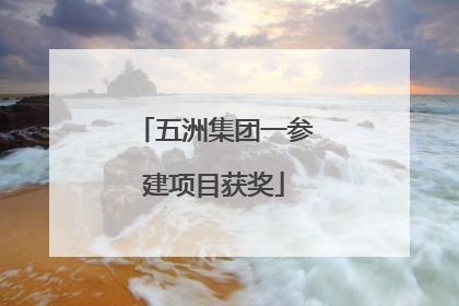 五洲集团一参建项目获奖