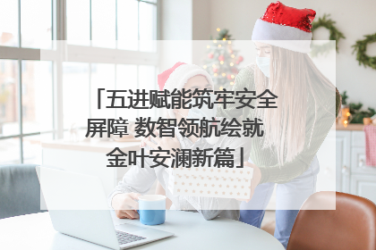 五进赋能筑牢安全屏障 数智领航绘就金叶安澜新篇