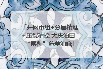 井网重组+分层精准+压裂精控 大庆油田“唤醒”薄差油藏