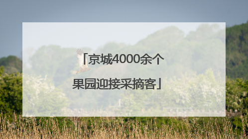 京城4000余个果园迎接采摘客