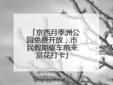 京西月季洲公园免费开放，市民假期驱车前来赏花打卡