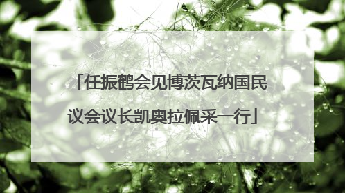 任振鹤会见博茨瓦纳国民议会议长凯奥拉佩采一行