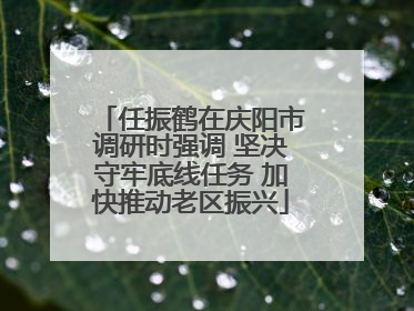 任振鹤在庆阳市调研时强调 坚决守牢底线任务 加快推动老区振兴
