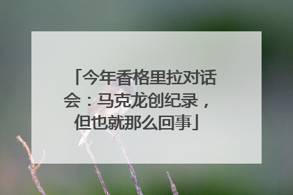 今年香格里拉对话会：马克龙创纪录，但也就那么回事