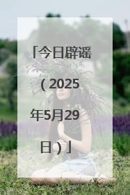 今日辟谣（2025年5月29日）