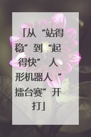 从“站得稳”到“起得快” 人形机器人“擂台赛”开打