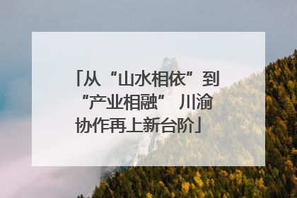 从“山水相依”到“产业相融” 川渝协作再上新台阶