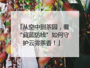 从空中到茶园，看“藏蓝防线”如何守护云雾茶香！