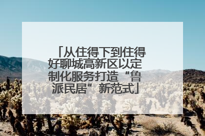 从住得下到住得好聊城高新区以定制化服务打造“鲁派民居”新范式