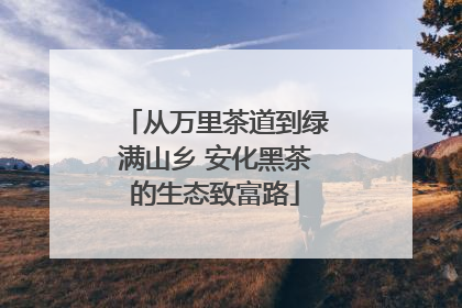 从万里茶道到绿满山乡 安化黑茶的生态致富路
