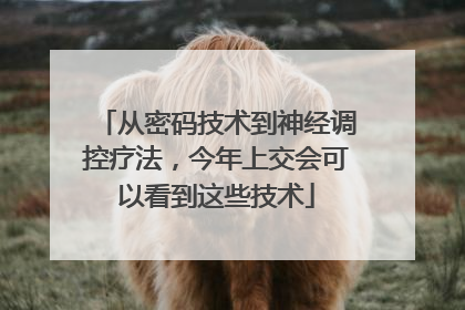 从密码技术到神经调控疗法，今年上交会可以看到这些技术