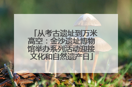 从考古遗址到万米高空：金沙遗址博物馆举办系列活动迎接文化和自然遗产日