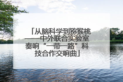 从脑科学到猕猴桃——中外联合实验室奏响“一带一路”科技合作交响曲