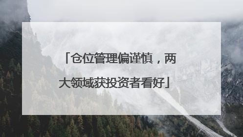 仓位管理偏谨慎，两大领域获投资者看好