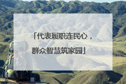代表履职连民心，群众智慧筑家园