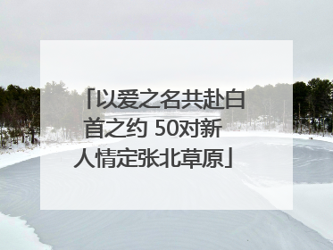 以爱之名共赴白首之约 50对新人情定张北草原