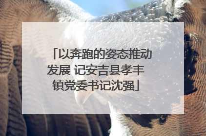 以奔跑的姿态推动发展 记安吉县孝丰镇党委书记沈强