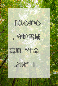 以心护心，守护雪域高原“生命之脉”