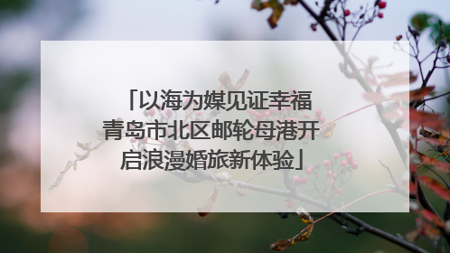 以海为媒见证幸福 青岛市北区邮轮母港开启浪漫婚旅新体验