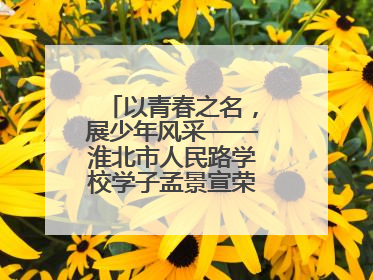 以青春之名，展少年风采——淮北市人民路学校学子孟景宣荣膺“新时代好少年”荣誉称号